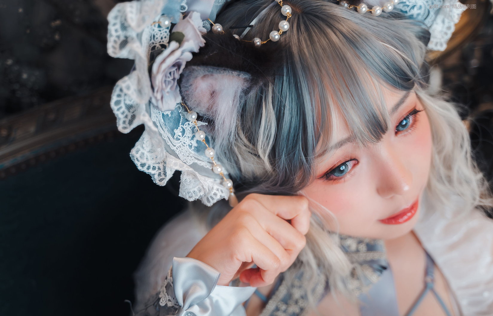 (ElyEE) agdoll [дcoser] Doll No.Elyeee ż؈/51P Cat P.8