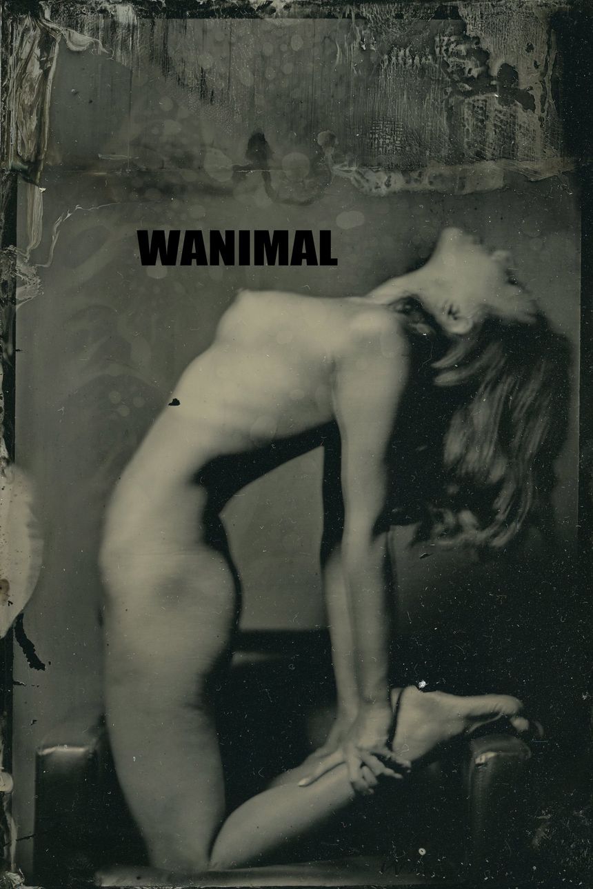 WANIMALٷƷ 20197 ͼ[72P] ʥ P.3