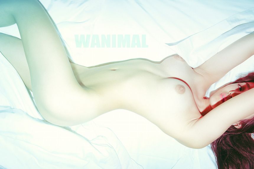 WANIMAL ڹ (ʮ) ͼ [82P] P.1 