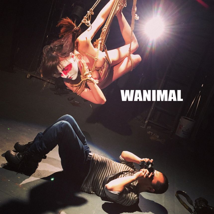 ͼ (ʮ) WANIMALƷ [64P] ʥ P.1 